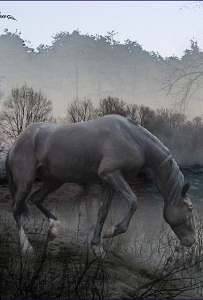 tanya+horse