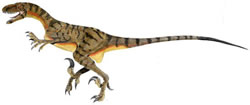 Anysaurus