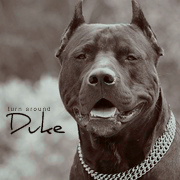 Duke. [x]