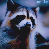 mr. Jay