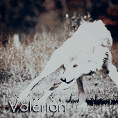 Valerian [x]