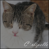 C`rispello