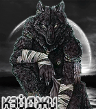 ����_�����