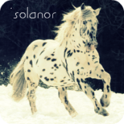 'solanor