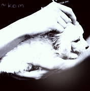 ~kom
