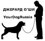 YourDogRussia