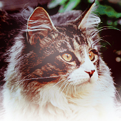 ������������;