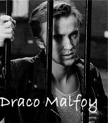 Draco Lucius Malfoy