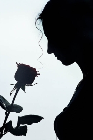 BlackRose