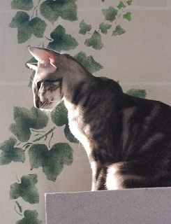 ������� ����������