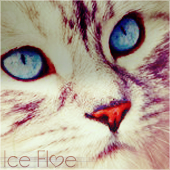 Ice Floe