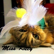 Miss Kitty