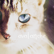 .avalanche