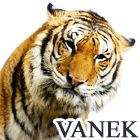Vanek