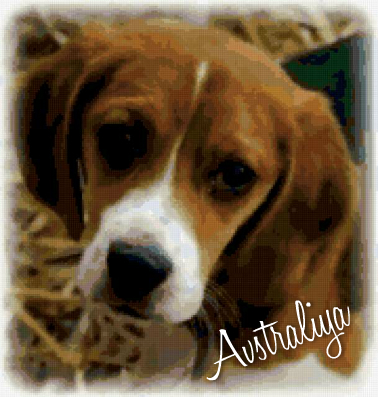 Австралия Австралия