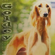 Goldey [-]
