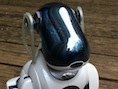 RGray