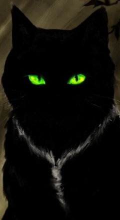 *��������*