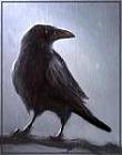 vonCorvus