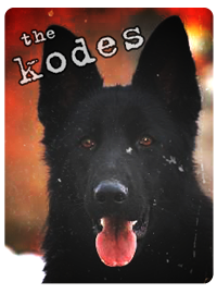 Kodes`