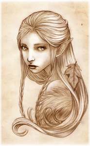 ������� �����������