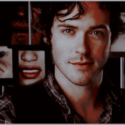 Rodolphus Lestrange
