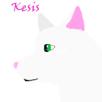 Kesis