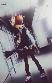 Sawada Tsunayoshi [x]