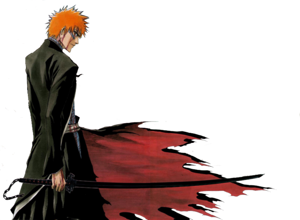 Bleach: Kurosaki Ichigo