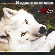 Niro