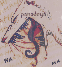 Panadeya