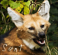 Mill|Sent