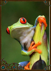 �������� �����