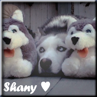 Shany