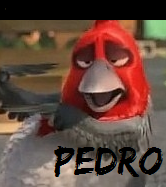 Pedro