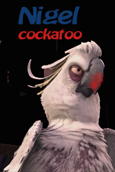 NIGEL_cockatoo