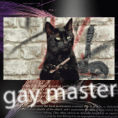 gay master