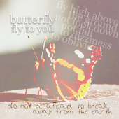 Butterfly*