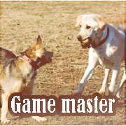 Game Master