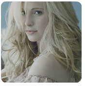 Candice Accola