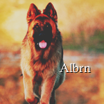 Albrn