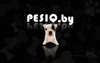 PesiQ.by