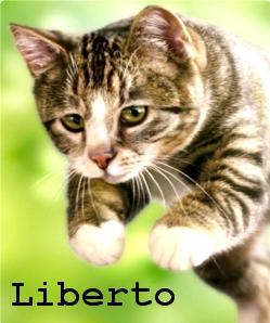 Liberto