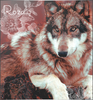 Rozaly