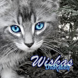 Wiskas