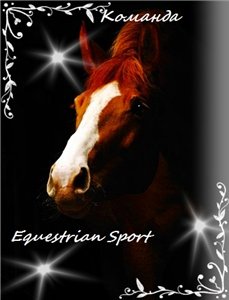 Equestrian Sport