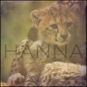 Hanna