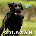 Solazar