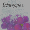 - schweppes-