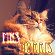 mrs norris